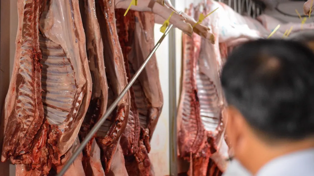 Cho-dau-moi-hoc-mon (5).jpg