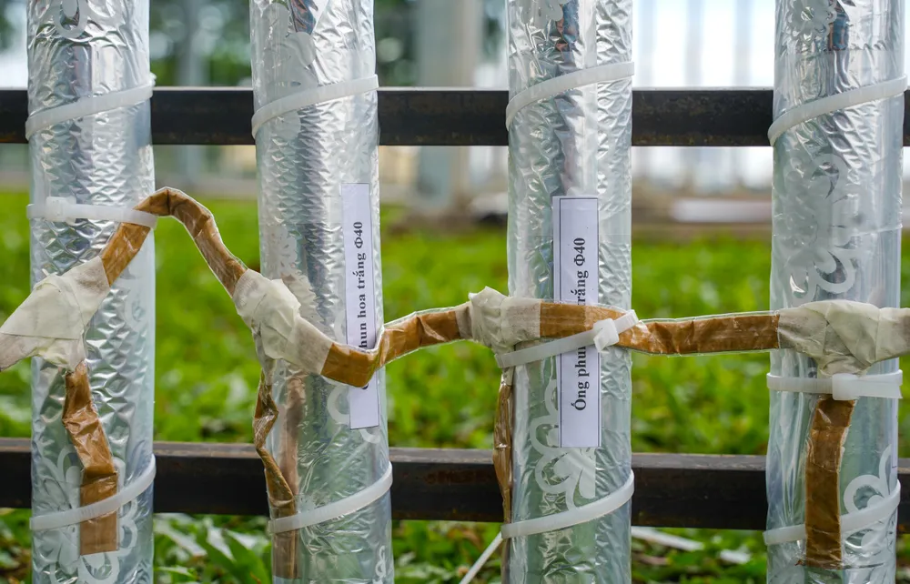 phao-hoa-tam-cao (14).jpg