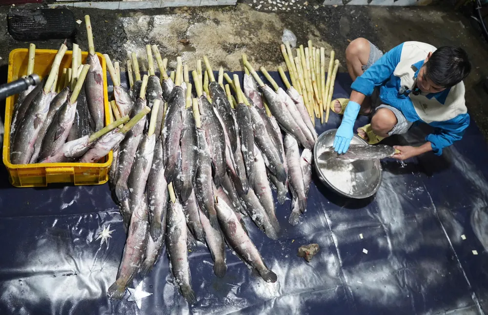 9058c6ef1579aa27f368 (1).jpg