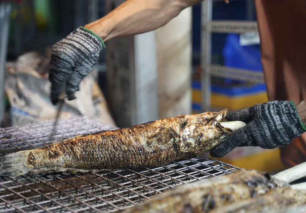 Phố “cá lóc nướng” TP.HCM xuyên đêm chuẩn bị hàng nghìn con cá trước ngày vía Thần Tài