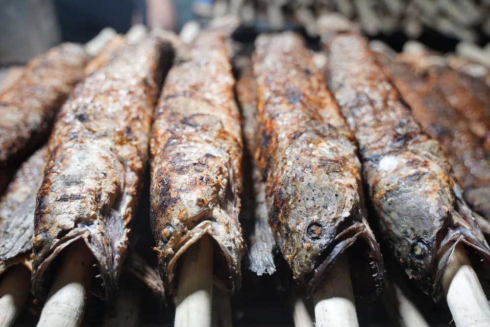 Phố “cá lóc nướng” TP.HCM xuyên đêm chuẩn bị hàng nghìn con cá trước ngày vía Thần Tài