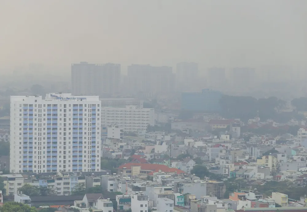 suong-mu-bao-phu (7).jpg