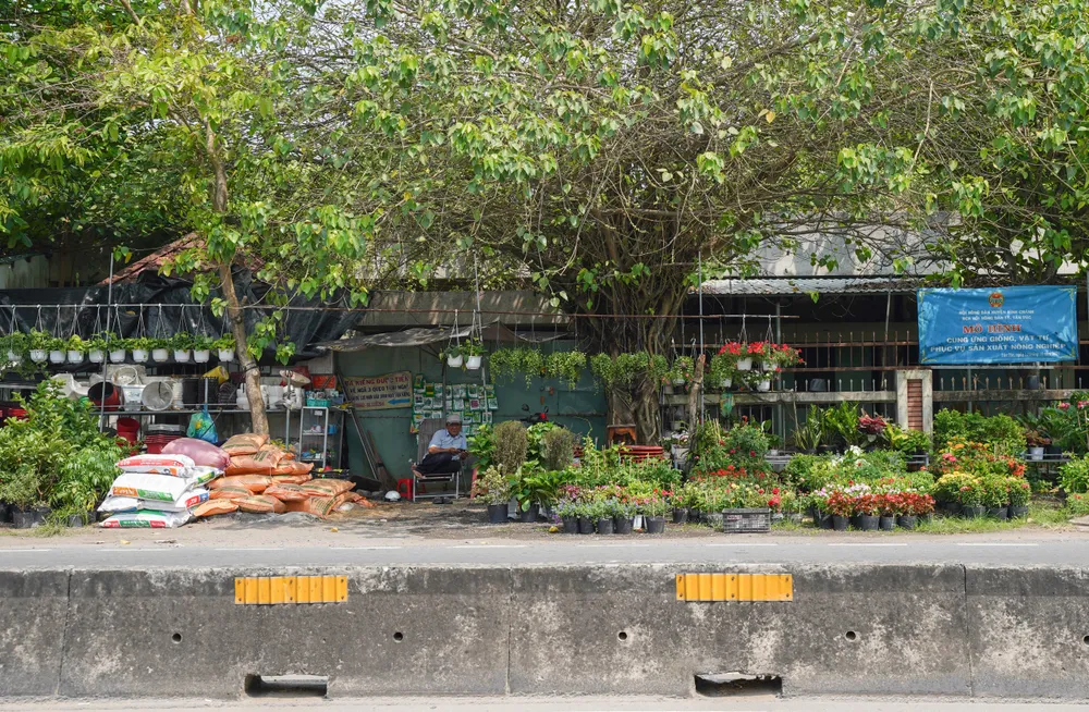 Dọc tuyến đường Nguyễn Hữu Trí, phía ngoài bệnh viện cũ nhiều người tận dụng làm nơi bán cây cảnh, hoa kiểng. Toàn cảnh 7 khu nhà đất sắp được TP.HCM tổ chức đấu giá
