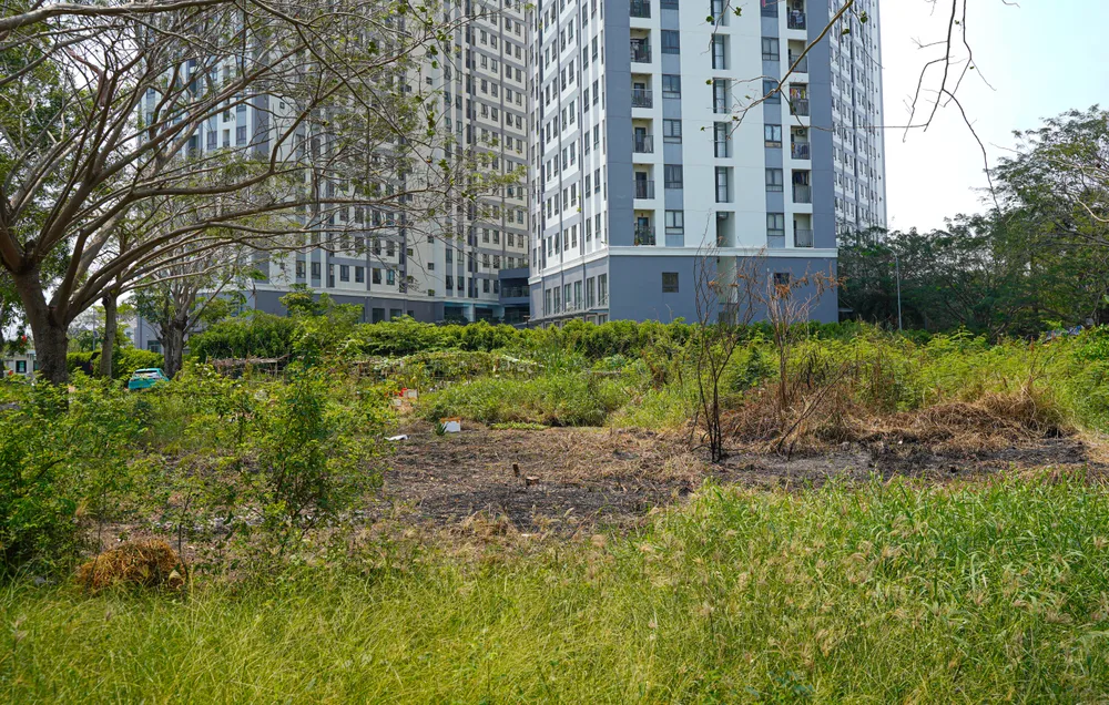 Khu Nam 13E (2).jpg