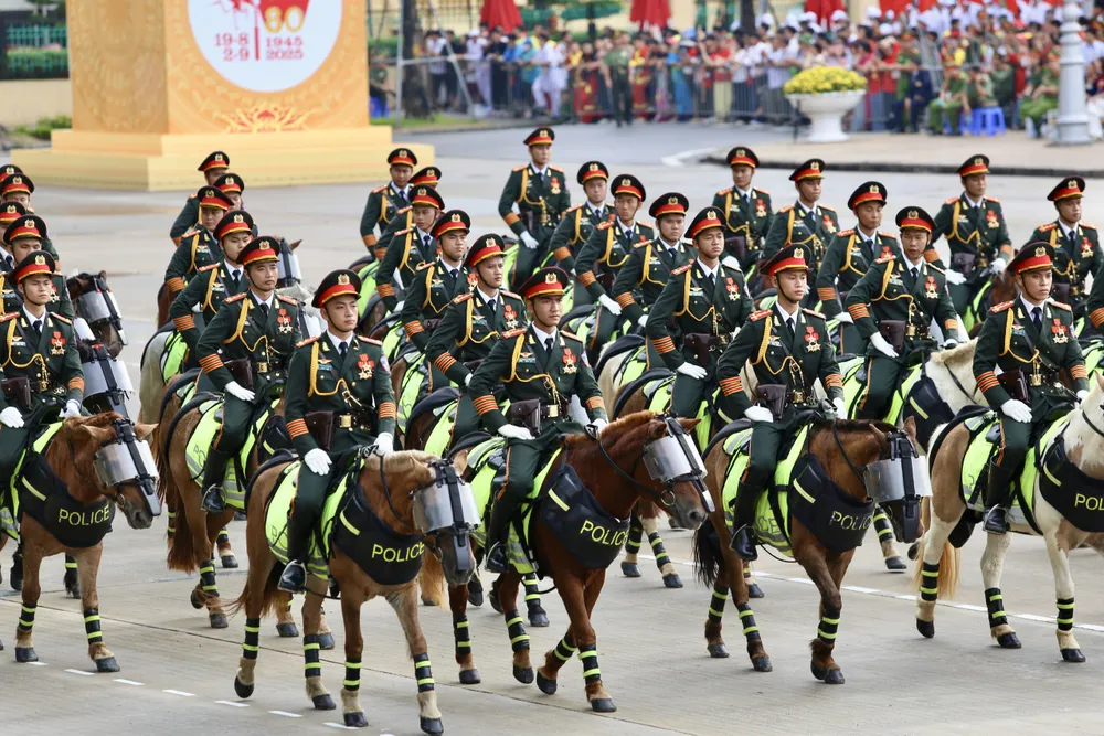 tỔNG HỢP DIỄU BINH (10).jpg