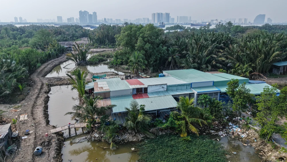 cầu Phú Mỹ 2 (25).jpg