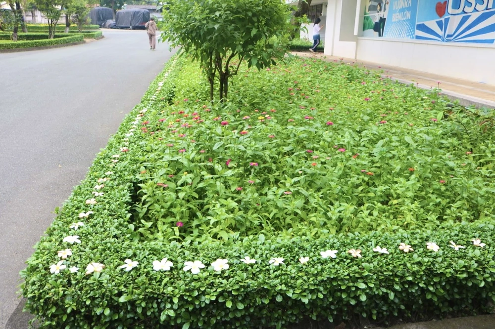 Bác bảo vệ trường gây sốt vì cử chỉ nhỏ tích cực lớn