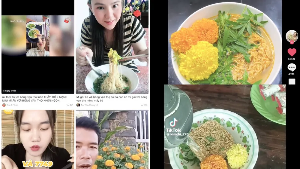 ăn bông vạn thọ.jpg