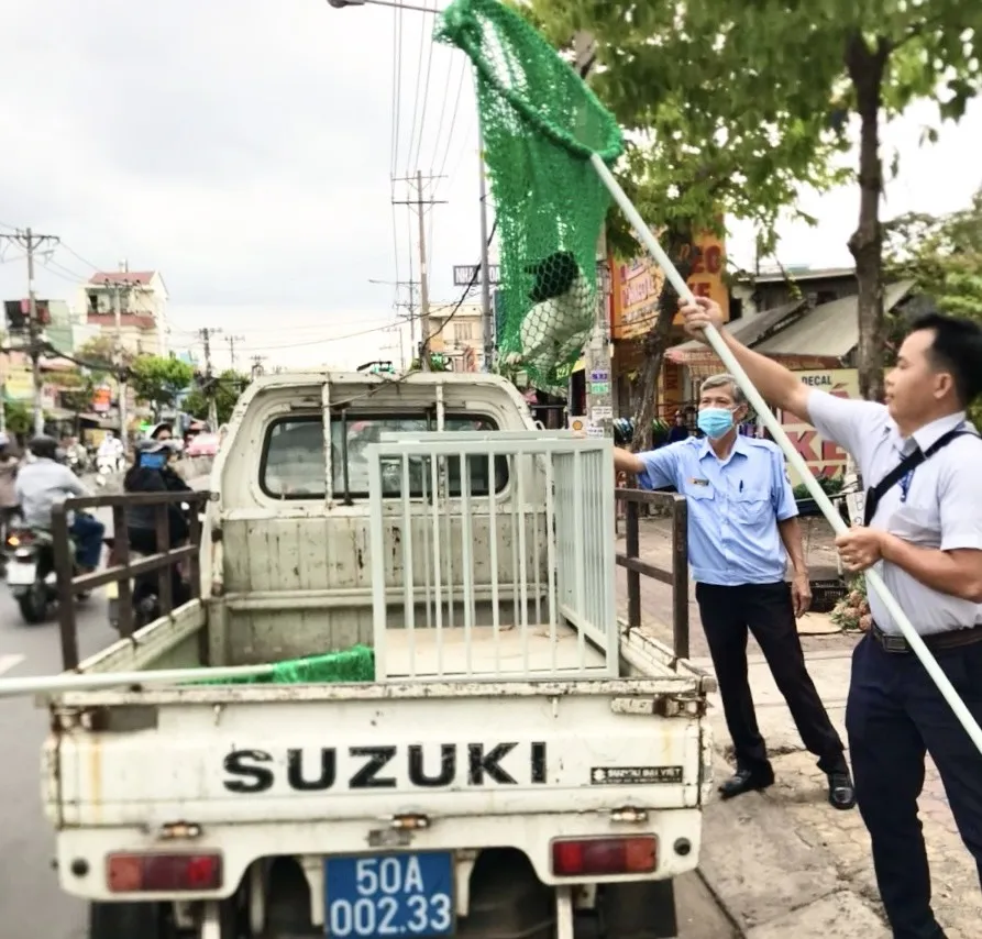 đội bắt chó thả rông.jpg