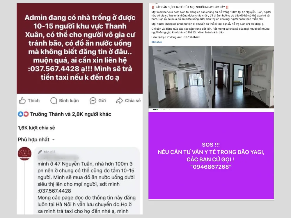 Nhiều tài khoản mạng xã hội cũng đăng bài trên các hội nhóm, kêu gọi người dân đang sống ở khu vực không an toàn có thể đến trú bão số 3 miễn phí. Thiết kế chưa có tên.png.jpeg