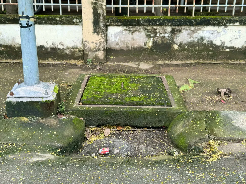 Đường Đặng Thùy Trâm ngập