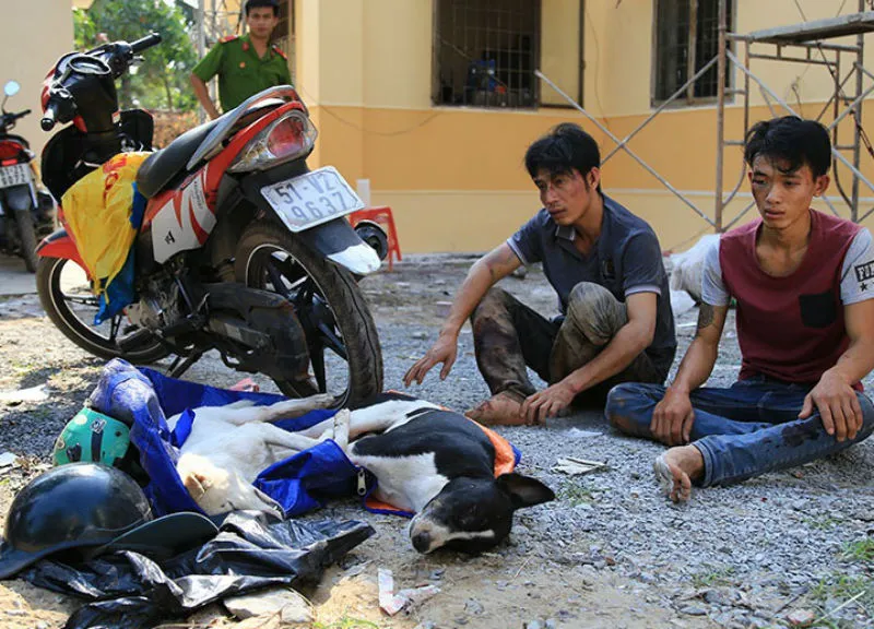 'Cẩu tặc' tấn công cảnh sát bằng ớt bột ảnh 1