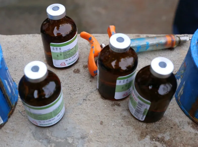 Quyết tâm chấm dứt việc sử dụng chất cấm trong chăn nuôi ảnh 1 Quyết tâm chấm dứt việc sử dụng chất cấm trong chăn nuôi ảnh 1