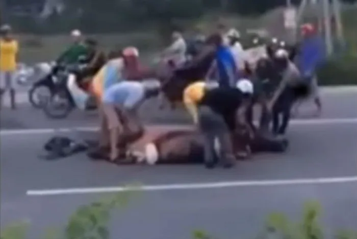 ‘Hôi’ thịt trâu chết ngay giữa đường ảnh 1