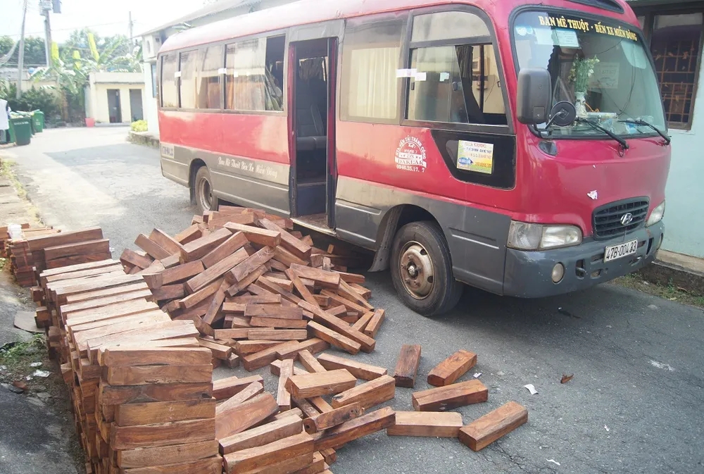 Gần 1.000 khúc gỗ cam xe trên ô tô khách ở Bình Dương ảnh 1 Gần 1.000 khúc gỗ cam xe trên ô tô khách ở Bình Dương ảnh 1