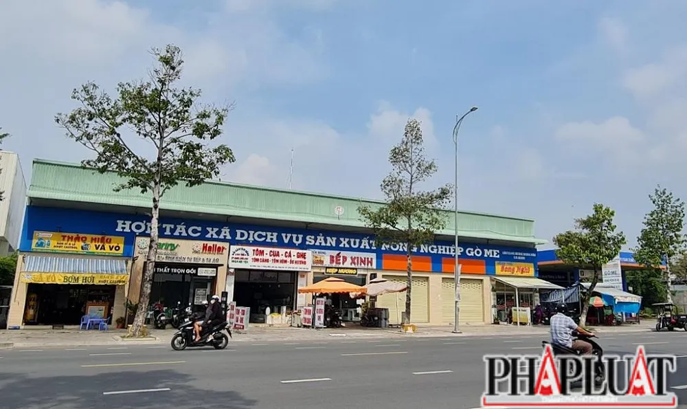 Một góc khu đất của Hợp tác xã Gò Me. Ảnh: VŨ HỘI