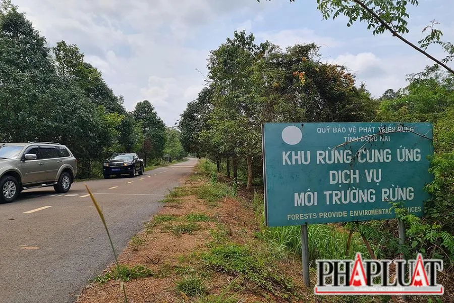 Theo Bộ GTVT, xây cầu Mã Đà và đường qua Khu dự trữ sinh quyển Đồng Nai chi phí lớn, ảnh hưởng đến hệ sinh thái, động vật quý hiếm. Ảnh: VH