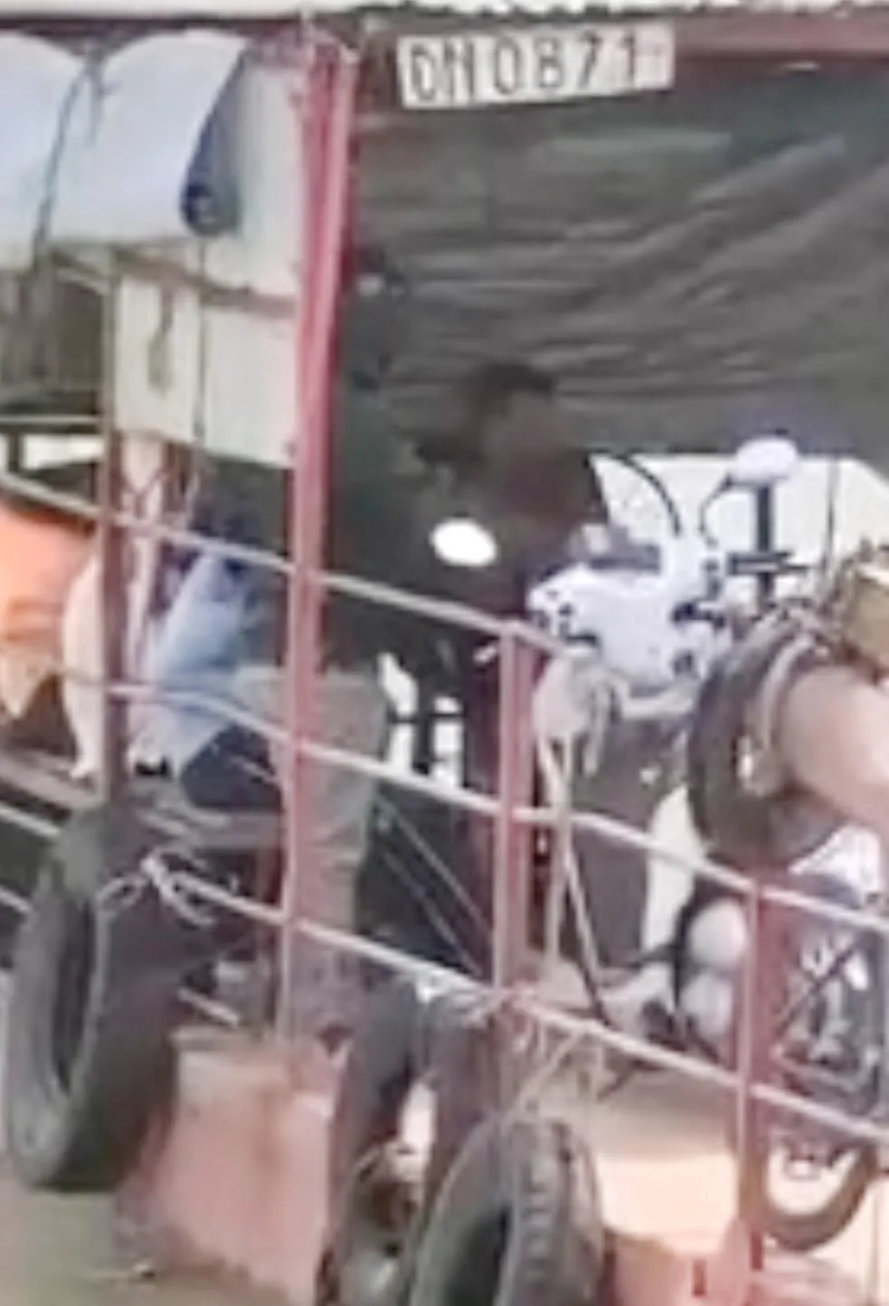 Hình ảnh bé trai điều khiển đò qua sông Đồng Nai. Ảnh cắt từ clip. Hình ảnh bé trai điều khiển đò qua sông Đồng Nai. Ảnh cắt từ clip.