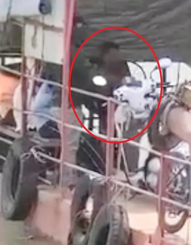 Hình ảnh bé trai điều khiển đò qua sông Đồng Nai. Ảnh cắt từ clip. Hình ảnh bé trai điều khiển đò qua sông Đồng Nai. Ảnh cắt từ clip.