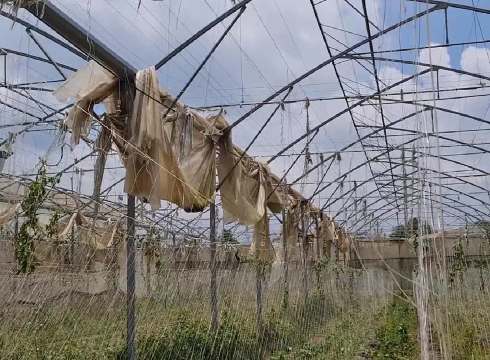 Một góc Trung tâm ứng dụng công nghệ sinh học Đồng Nai. Ảnh: VŨ HỘI.