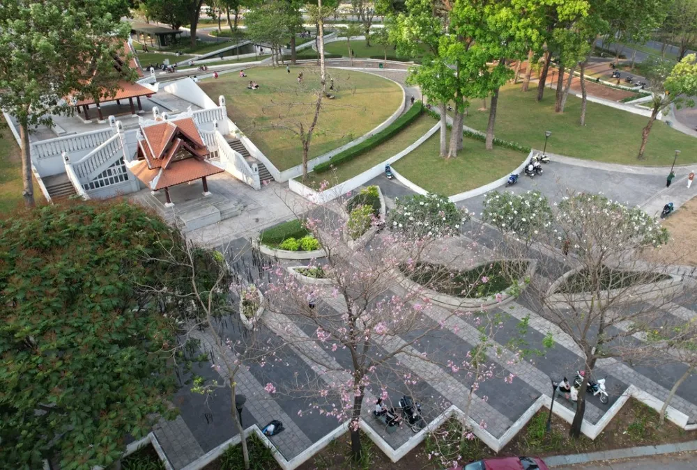 Một góc công viên với hàng cây hoa kèn hồng. Một góc công viên với hàng cây hoa kèn hồng.