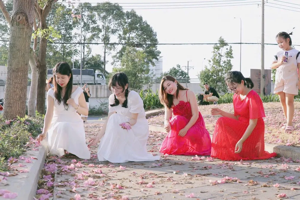 Những cô gái trẻ nhặt hoa kèn hồng. Những cô gái trẻ nhặt hoa kèn hồng.