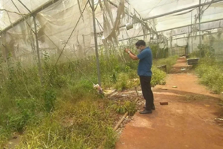 Khu nhà màng hoang tàn, cỏ mọc, đất bỏ hoang trong dự án của Trung tâm ứng dụng công nghệ sinh học của tỉnh Đồng Nai. Ảnh: VH