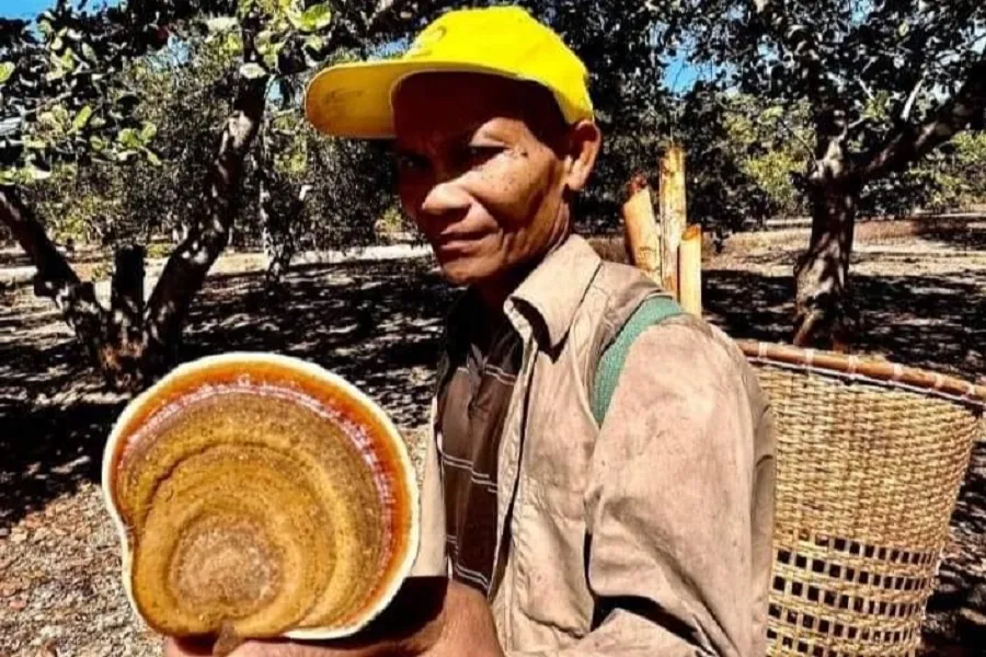 Ông K’Sơ trước khi đi lạc vào rừng. Ảnh: CTV. thi - thể.jpg