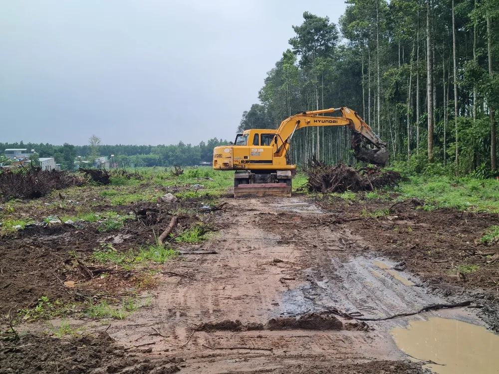 cao - tốc- Biên Hòa - Vũng Tàu.jpg