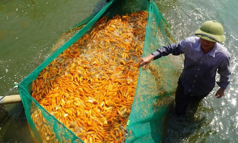 cúng ông táo 10.jpg