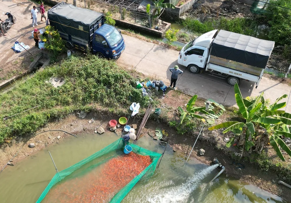 cúng ông táo 11.jpg