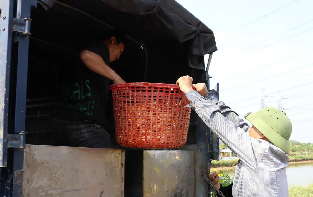 cúng ông táo 7.jpg