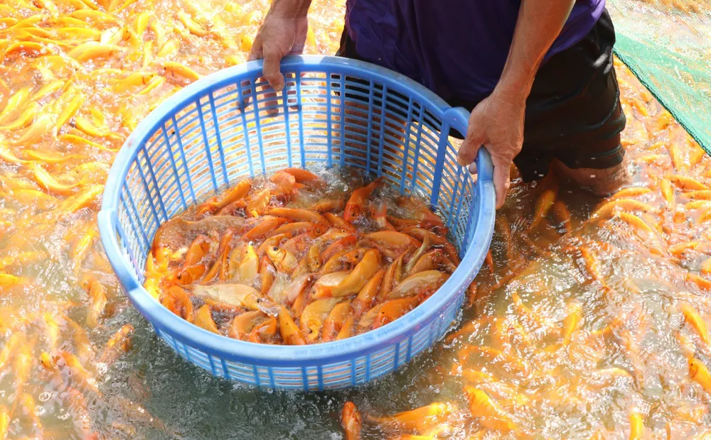 cúng ông táo 8.jpg