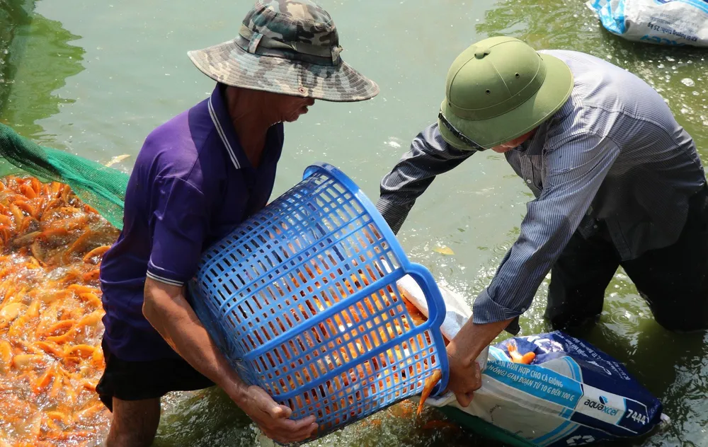 cúng ông táo 9.jpg