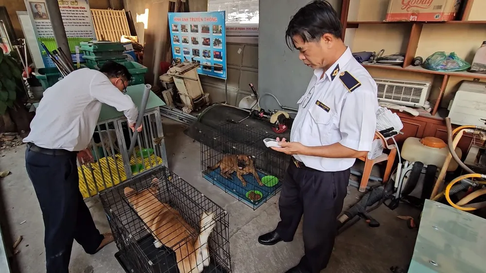 chó thả rông 8.jpg