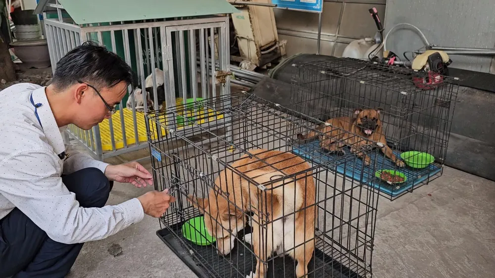 chó thả rông 9. jpg.jpg