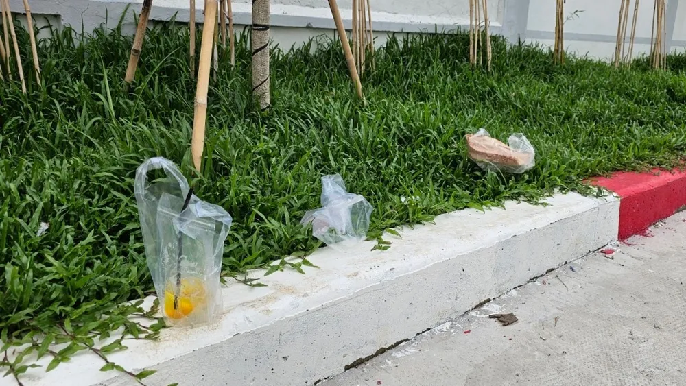 Những túi đồ ăn, nước uống vứt bỏ ngay trên bãi cỏ trong bãi đậu xe. Ảnh: VH. bãi đậu xe.jpg