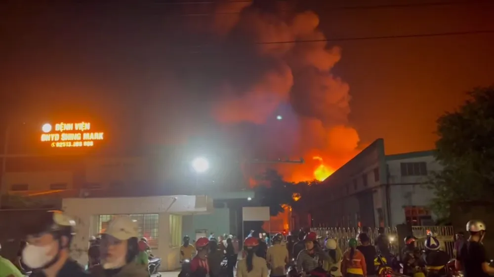 công ty Singmark,.jpg