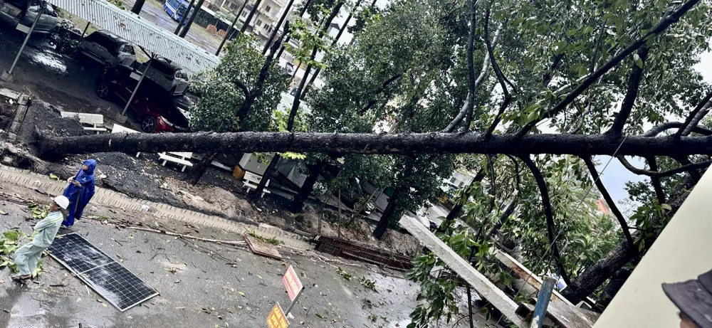 mưa lốc xoáy 2.jpg