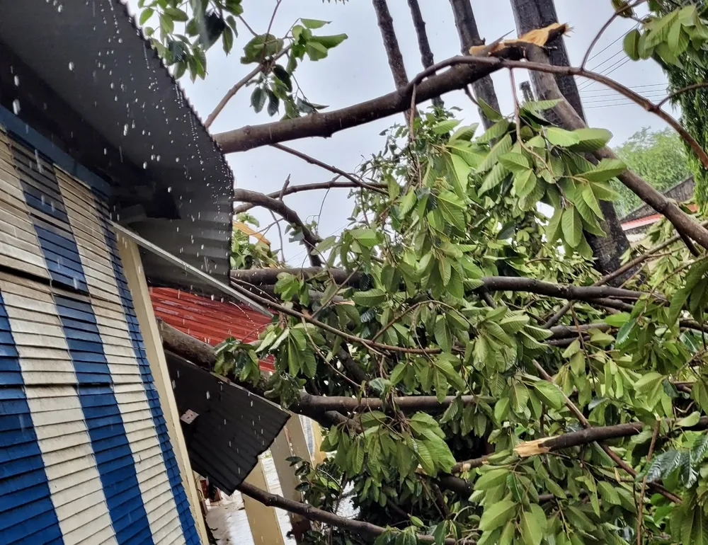 mưa lốc xoáy 3.jpg