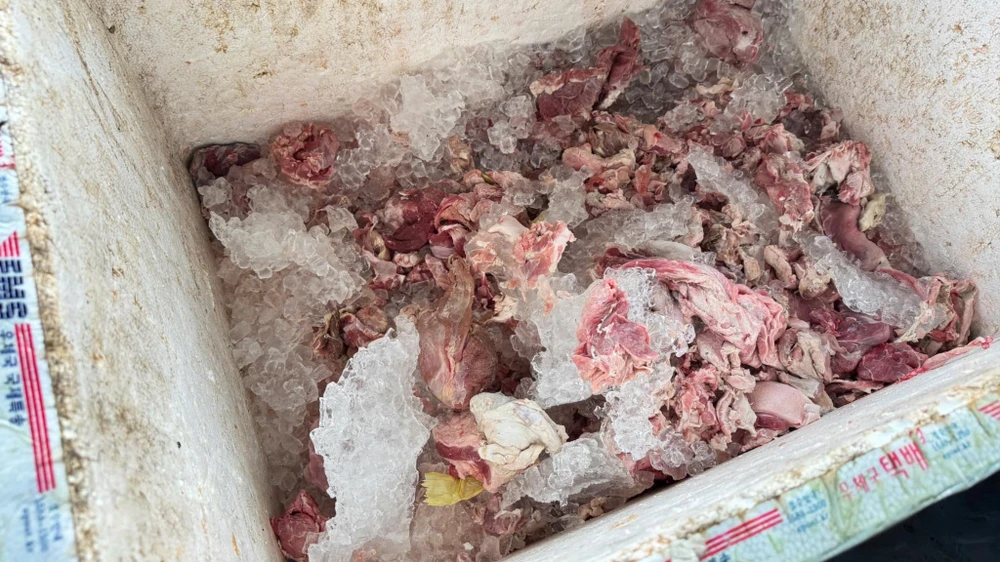 Một số thịt heo đã bốc mùi thối. Ảnh: CV,
