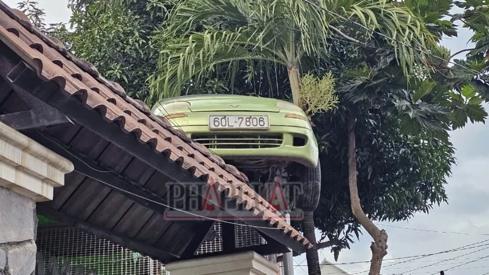 mái cổng nhà 3.jpg