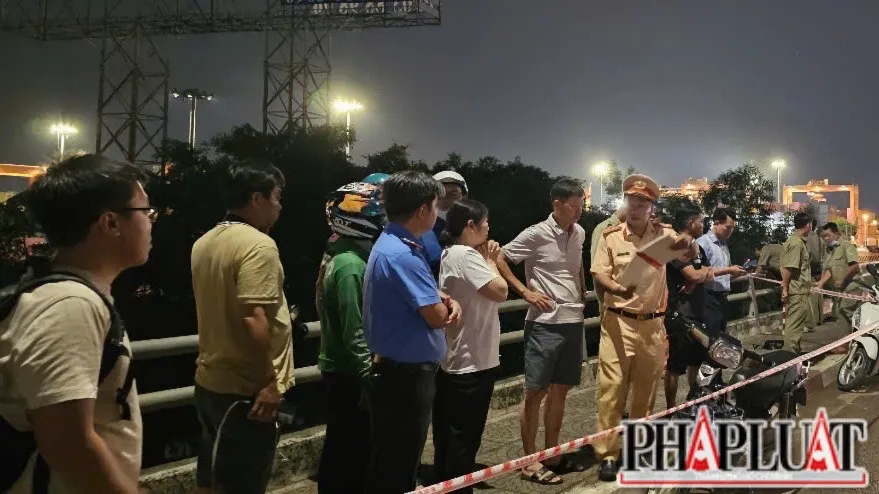 cầu Đồng Nai 1.jpg