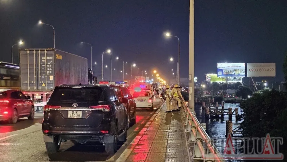 cầu Đồng Nai 3.jpg