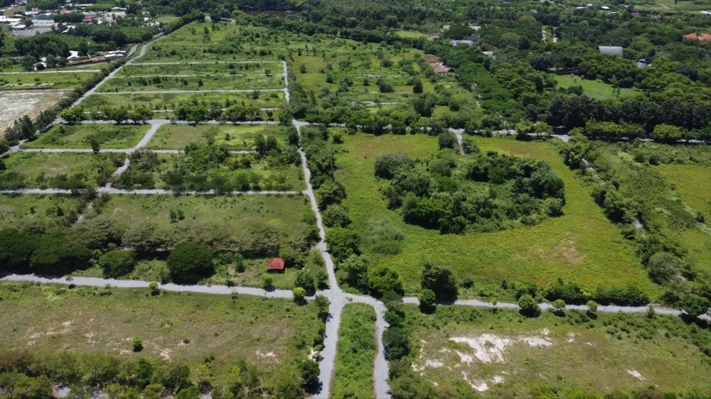 bắt tổng giám đốc.jpg