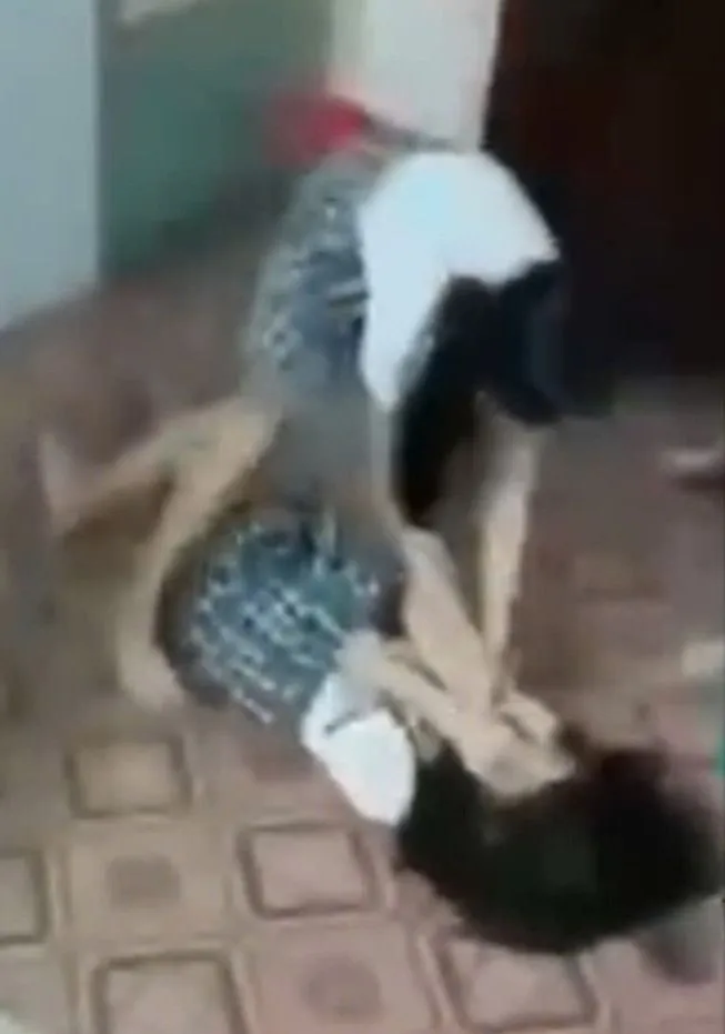 học sinh Tiểu học.jpg