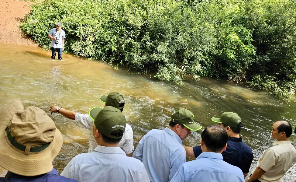 cầu mã đà 4.jpg