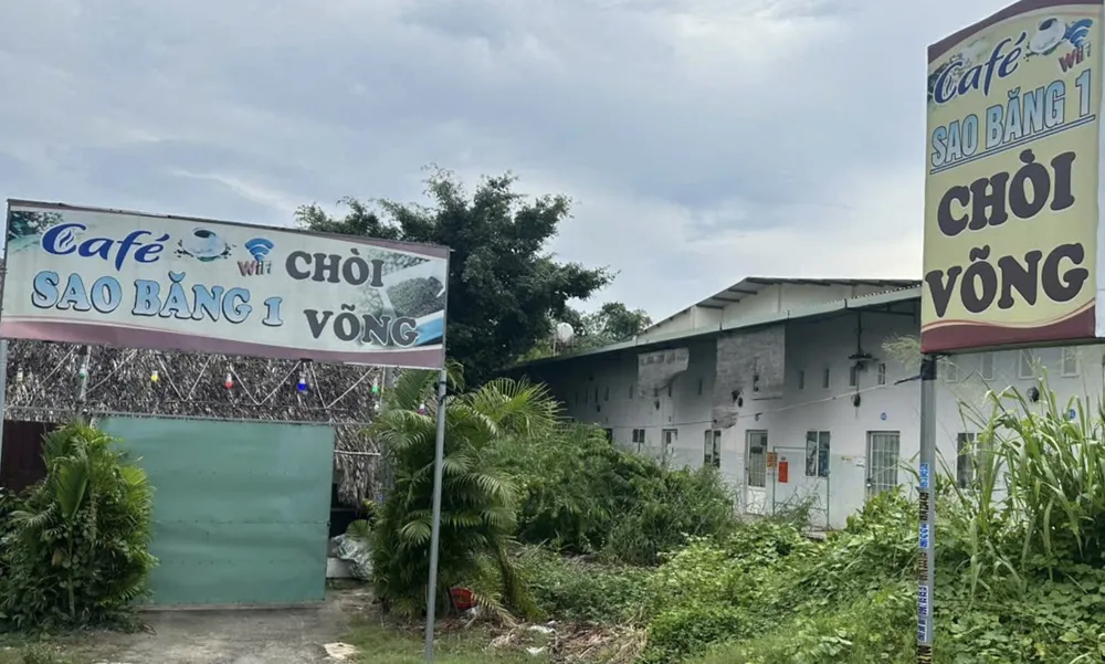  nữ tiếp viên.jpg