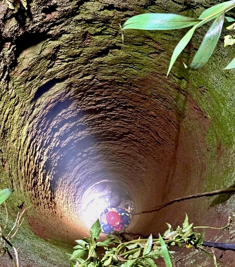 rơi xuống giếng.jpg