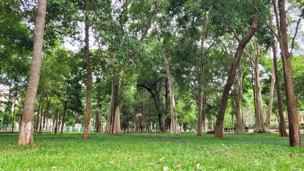 Buôn Ma Thuột từng được công nhận là một trong những TP xanh, sạch, đẹp của cả nước. Ảnh: VŨ LONG